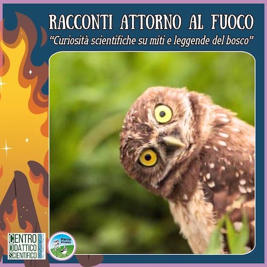 Racconti intorno al fuoco